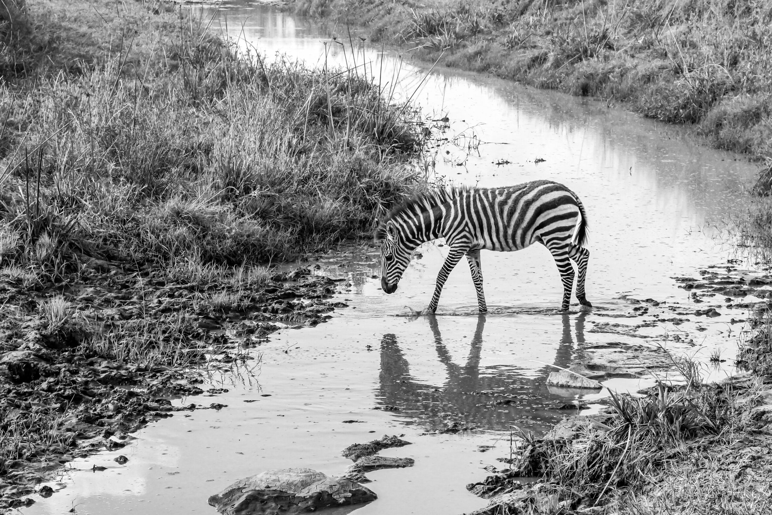 WONDERS OF OUR PLANET by Camille Massida Photography